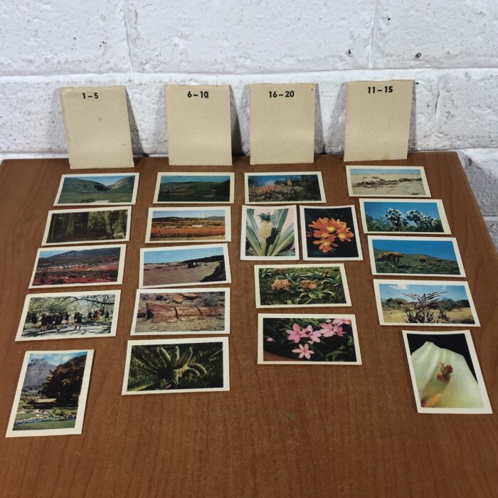 Lot 101: Collection of Coca Cola 'Our Flower Paradise Kirstenbosch' Photos