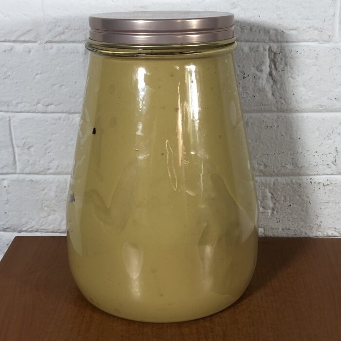 LARGE Heinz Ketchup & Gulden's Mustard Containers - Image 9