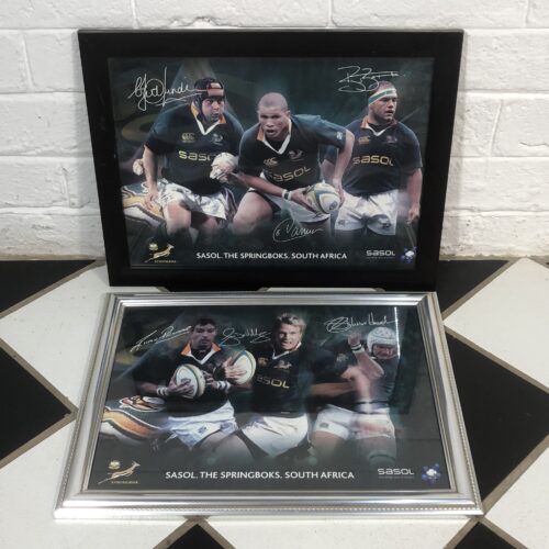 Framed Springbok Rugby Posters