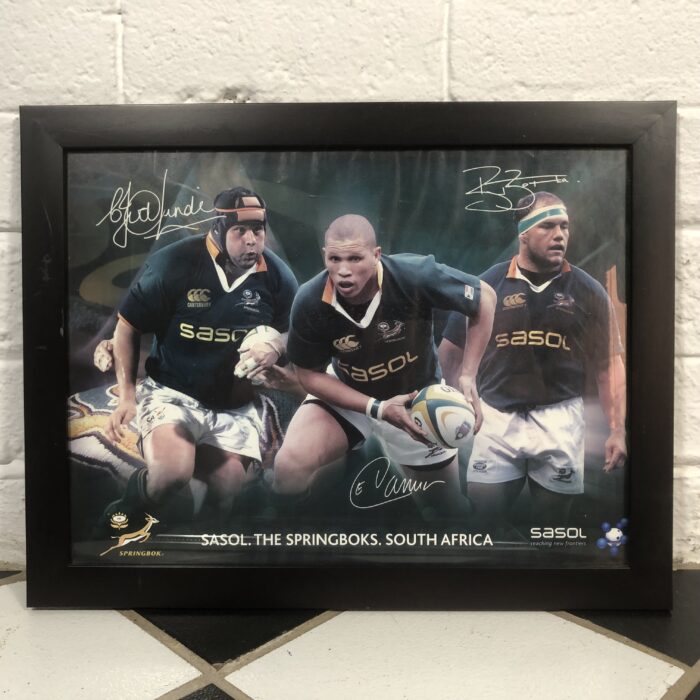 Framed Springbok Rugby Posters - Image 2