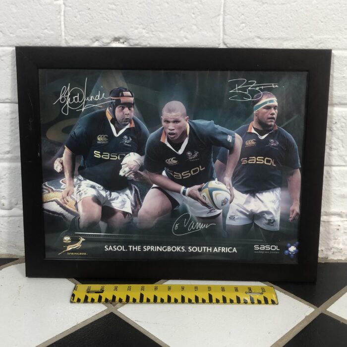 Framed Springbok Rugby Posters - Image 6