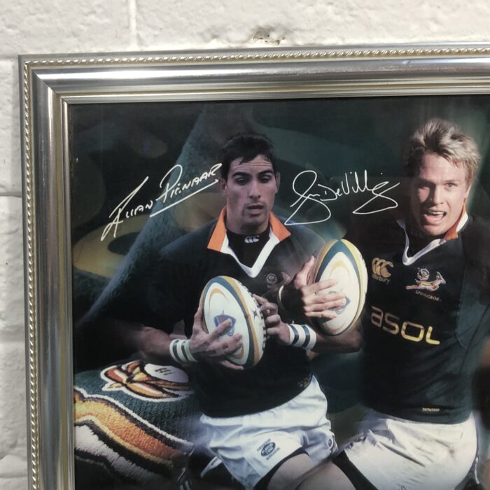 Framed Springbok Rugby Posters - Image 8
