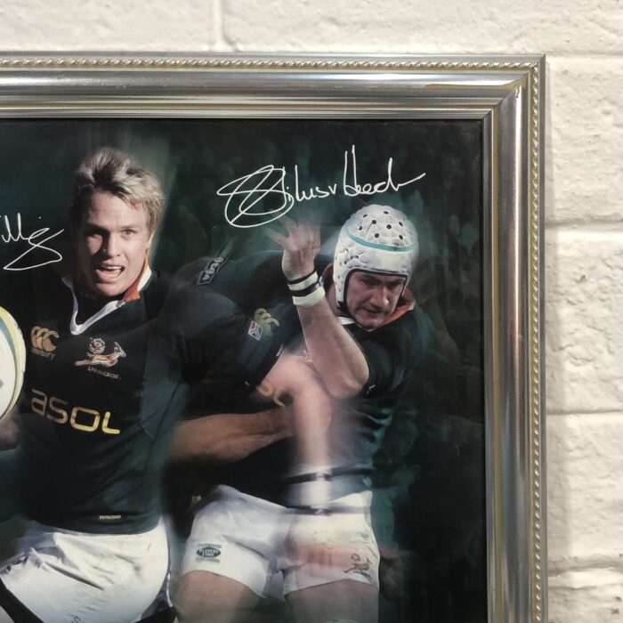 Framed Springbok Rugby Posters - Image 9