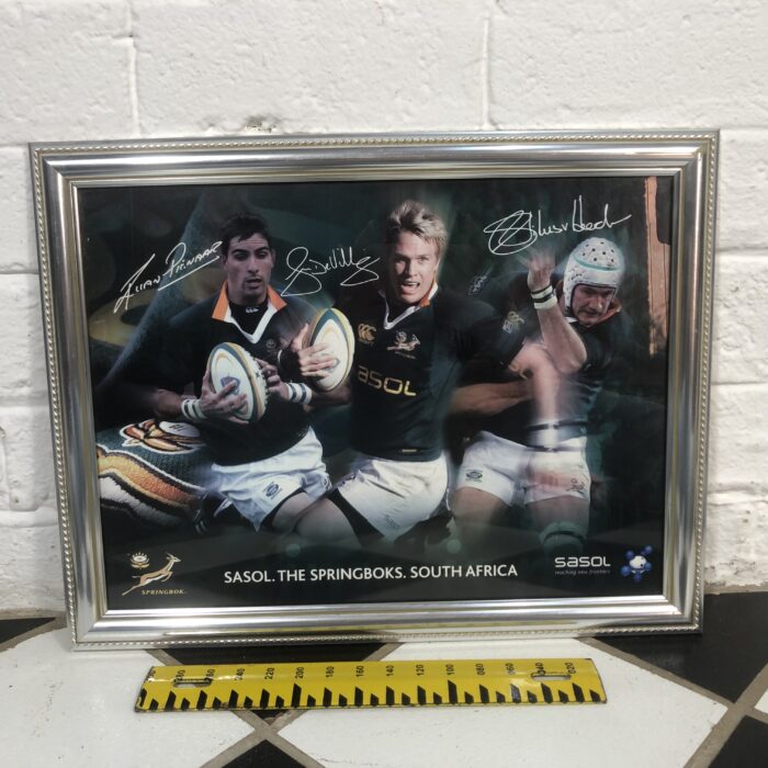 Framed Springbok Rugby Posters - Image 10
