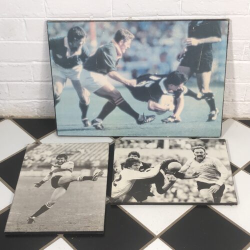 Vintage South African Springbok Rugby Signs