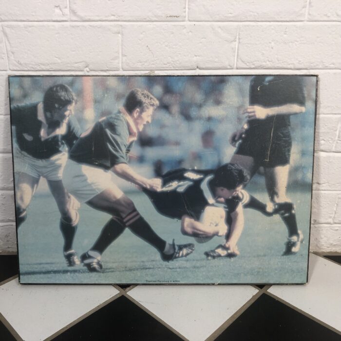 Vintage South African Springbok Rugby Signs - Image 2