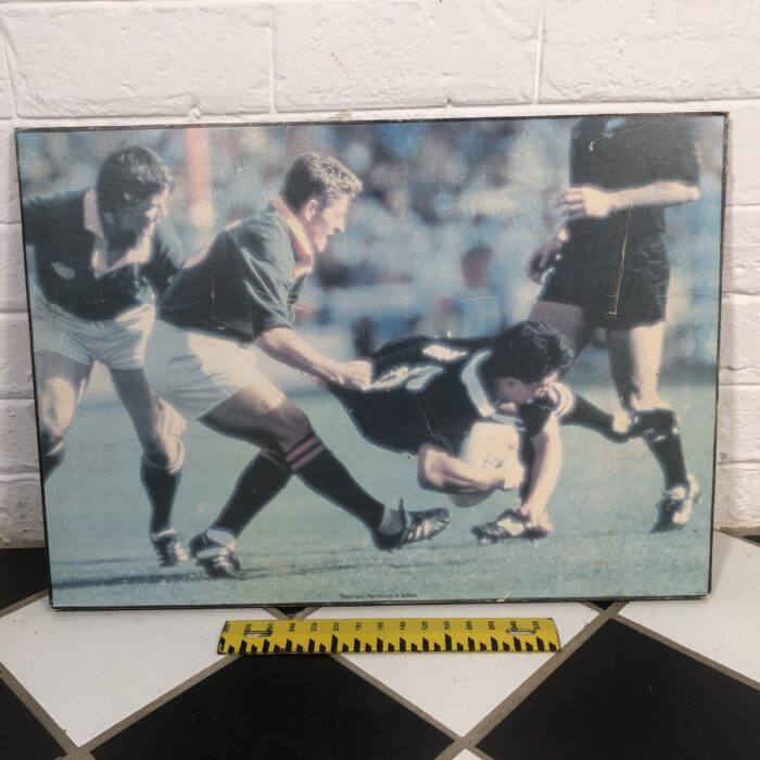 Vintage South African Springbok Rugby Signs - Image 4