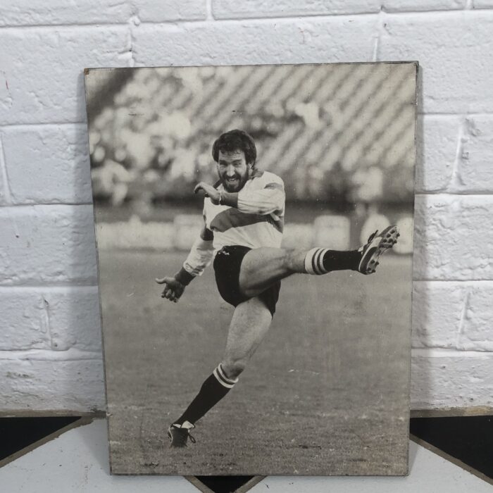Vintage South African Springbok Rugby Signs - Image 8