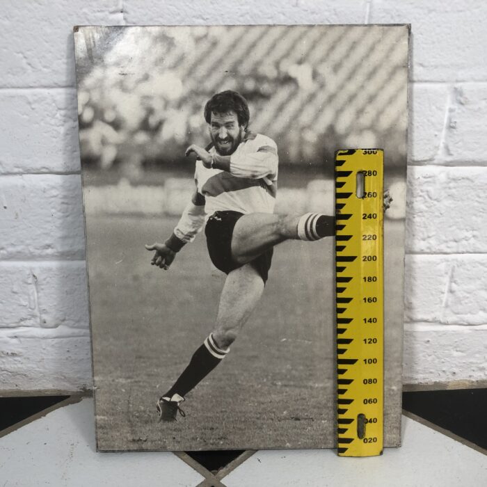 Vintage South African Springbok Rugby Signs - Image 10