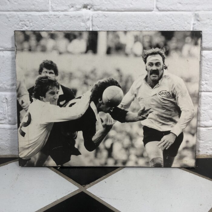 Vintage South African Springbok Rugby Signs - Image 5
