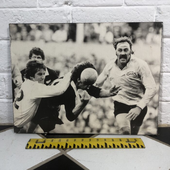 Vintage South African Springbok Rugby Signs - Image 7