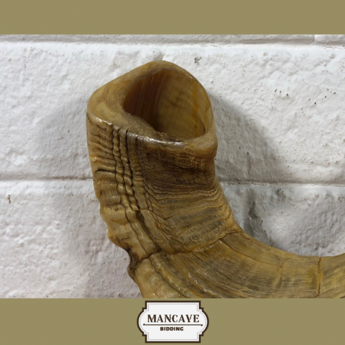 Vintage Ram's Horn Shofar - Image 3