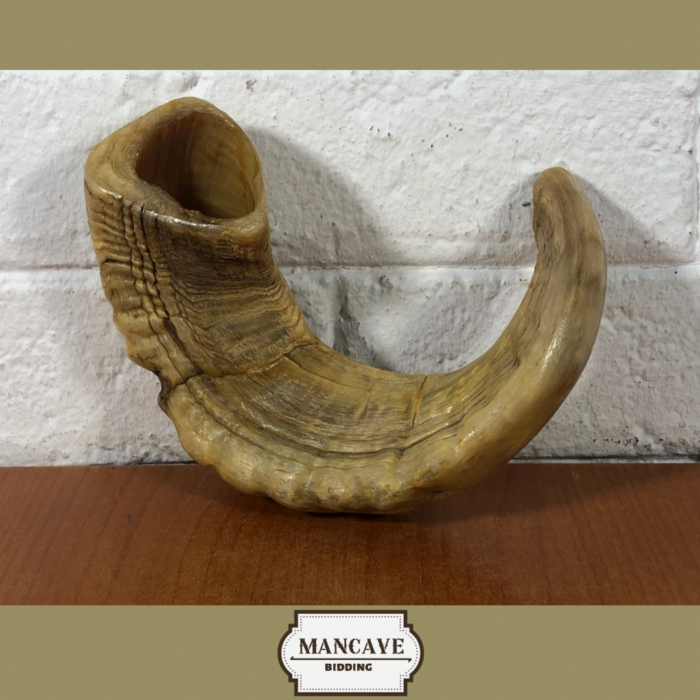 Vintage Ram's Horn Shofar