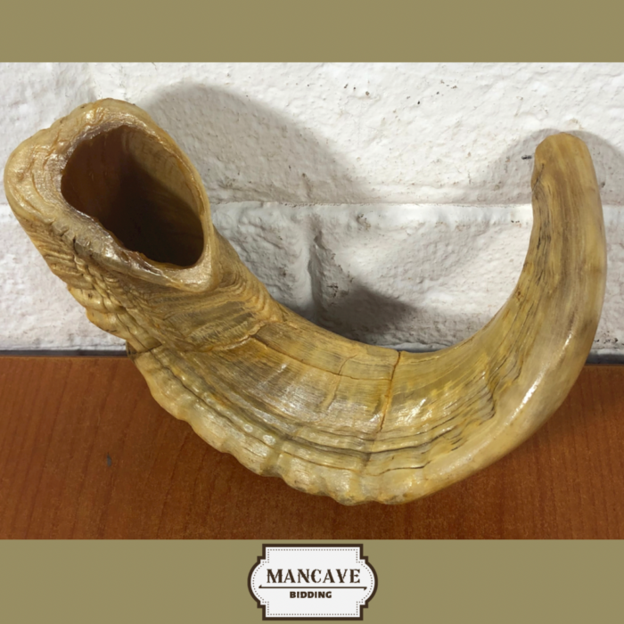 Vintage Ram's Horn Shofar - Image 2