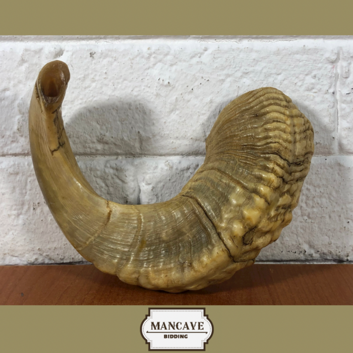 Vintage Ram's Horn Shofar - Image 6