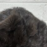 Vintage Russian Ushanka Hat - Image 3