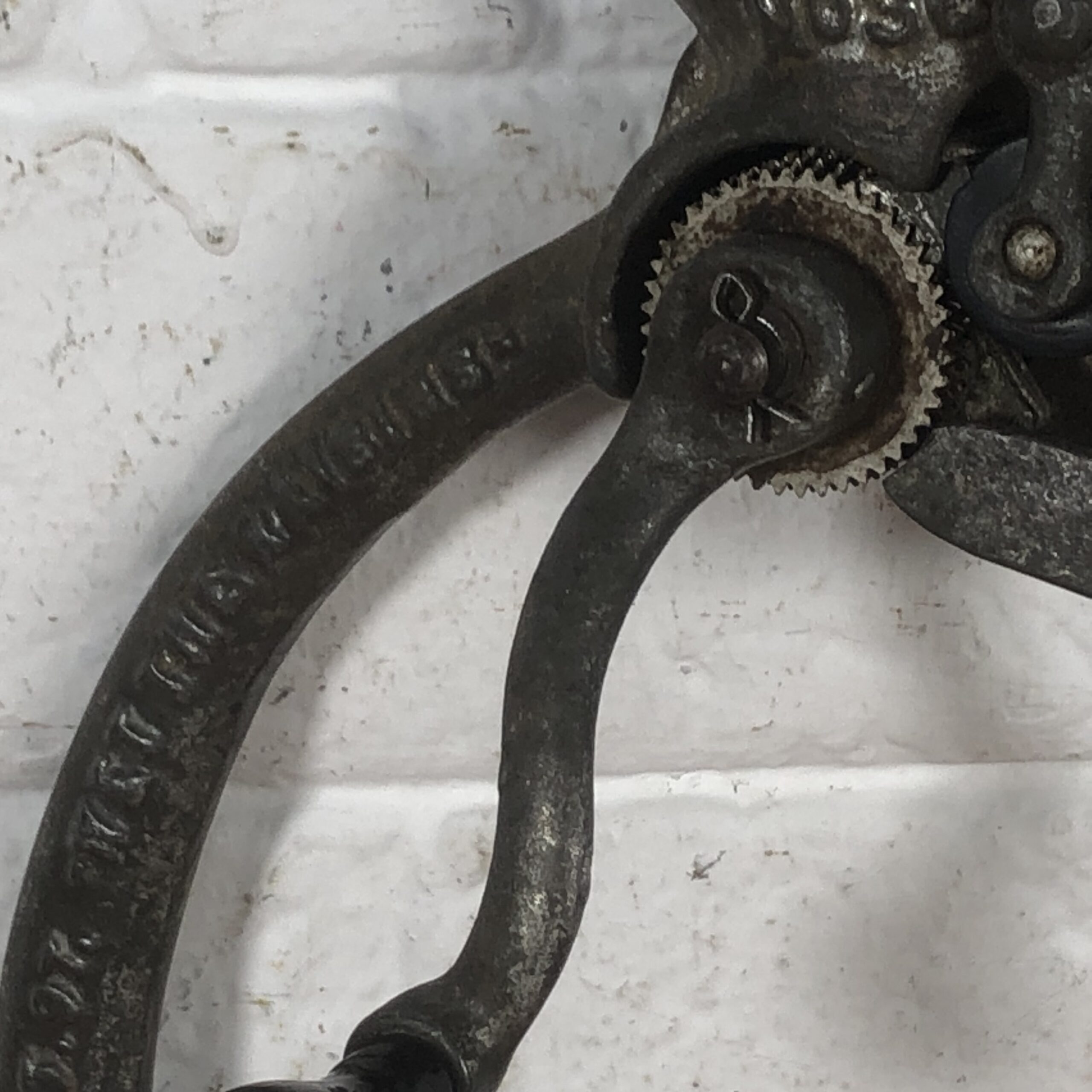 Antique Enterprise No.36 Raisin Seeder - Image 4