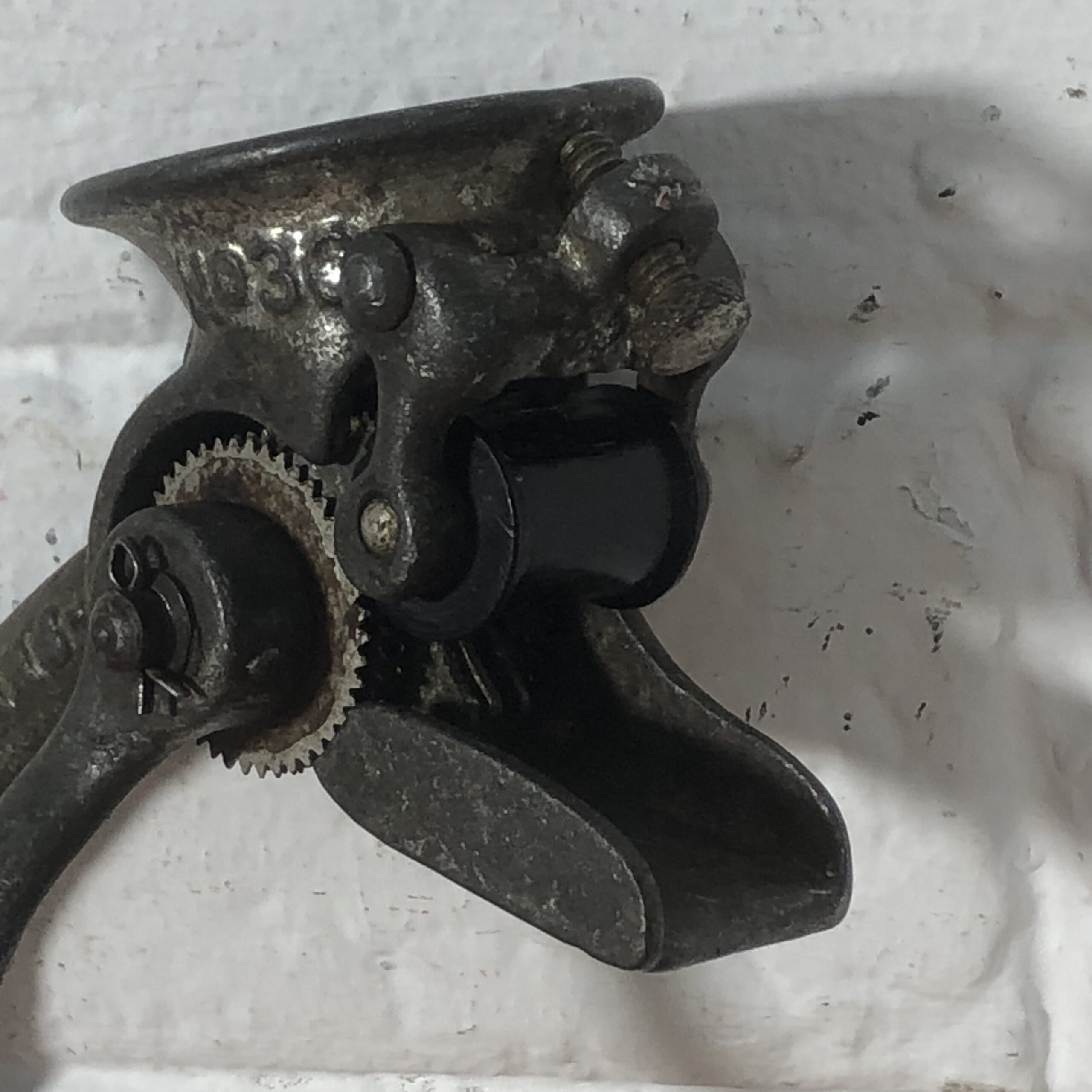 Antique Enterprise No.36 Raisin Seeder - Image 3