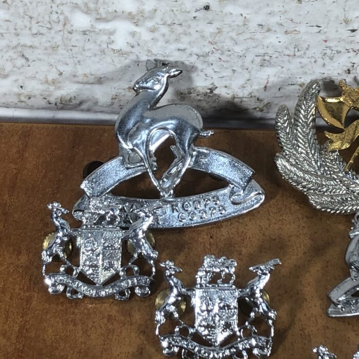 Collection of Vintage SAR/SAS Badges - Image 2