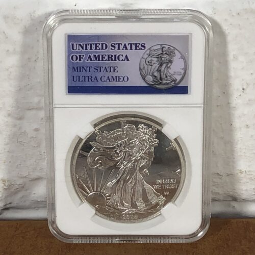 United States of America 2025 Liberty Coin (Mint State Ultra Cameo)