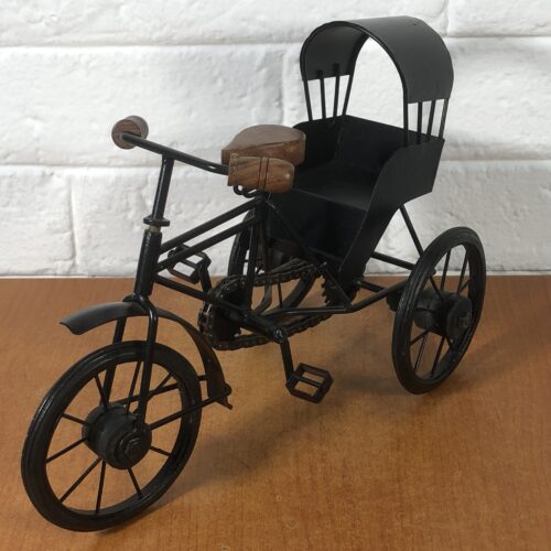 Rickshaw Bicycle Model